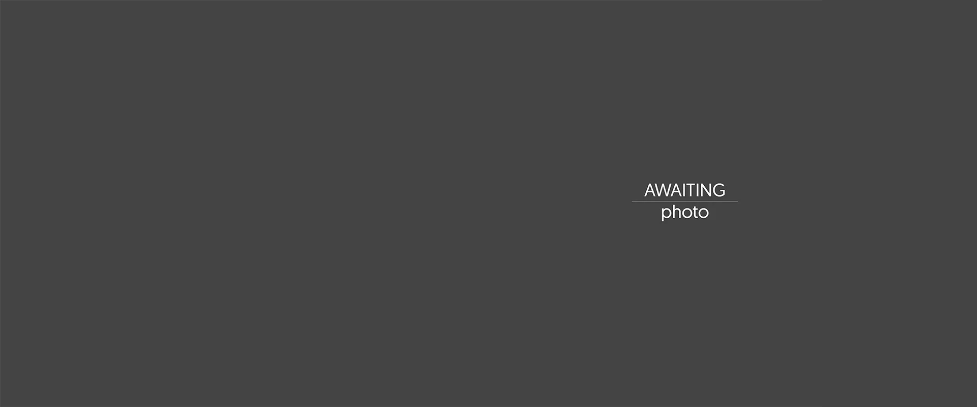 Awaiting Image
